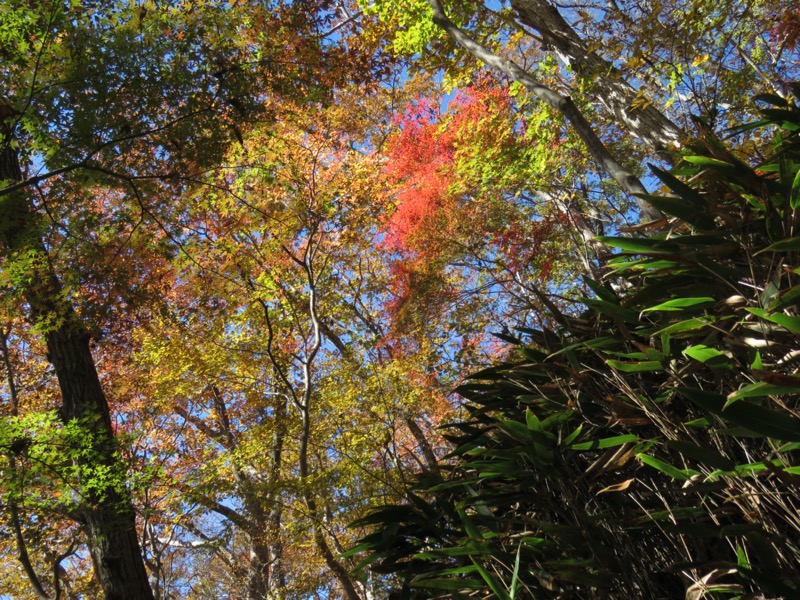 奥久慈・男体山